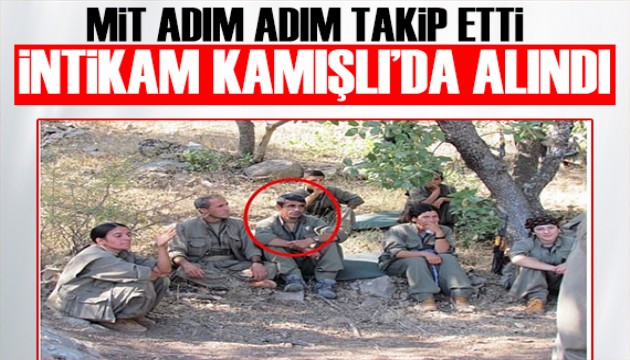 MİT peşindeydi: İntikam Kamışlı'da alındı