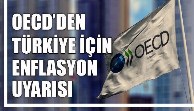 OECD'den Türkiye için enflasyon uyarısı