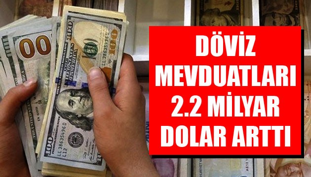 Döviz mevduatları 2.2 milyar dolar arttı