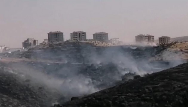 Gaziantep'te korkutan orman yangını