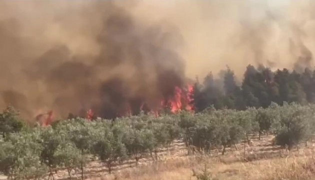 Pamukkale’de orman yangını