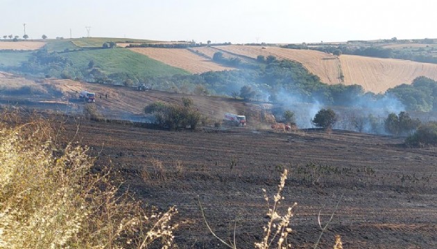 Tekirdağ'da 100 dönümlük alan yandı