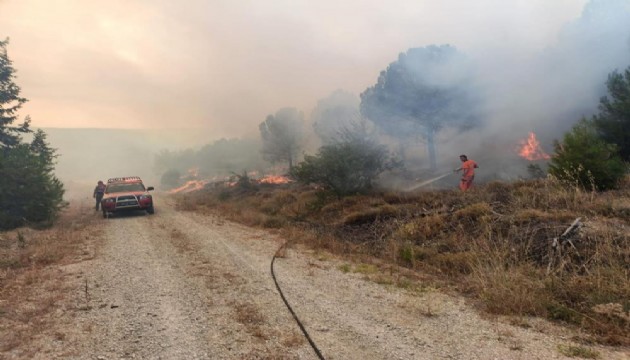 Çanakkale'deki orman yangını kontrol altına alındı