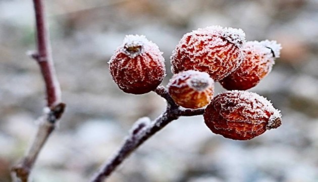 Ağrı buz kesti: Eksi 14