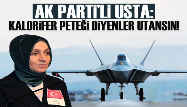 AK Parti'li Usta: Kalorifer peteği diye dalga geçenler utansın!