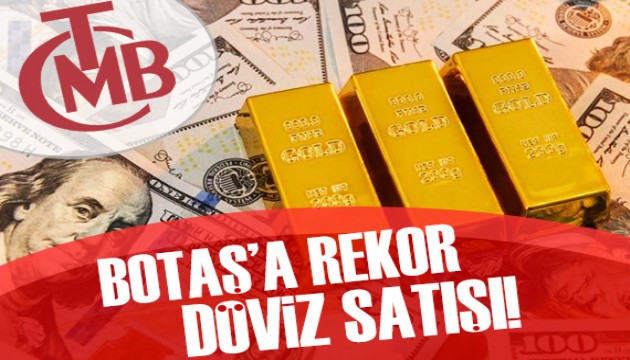 Botaş'a rekor döviz satışı!