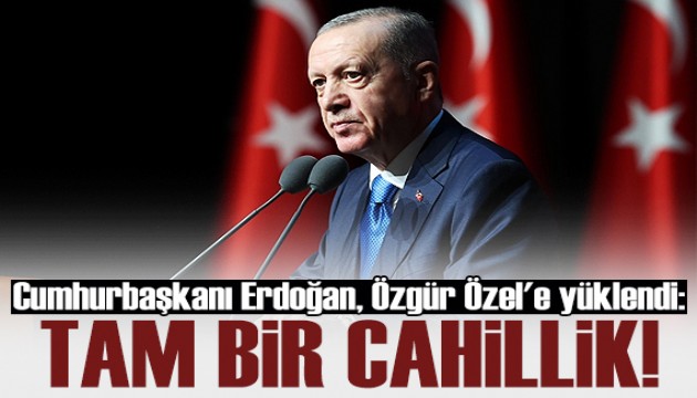 Cumhurbaşkanı Erdoğan, Özgür Özel'e yüklendi!