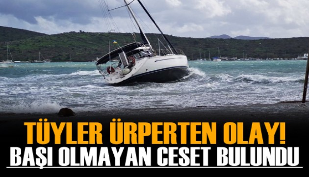 Bodrum'da baş kısmı olmayan erkek cesedi bulundu!