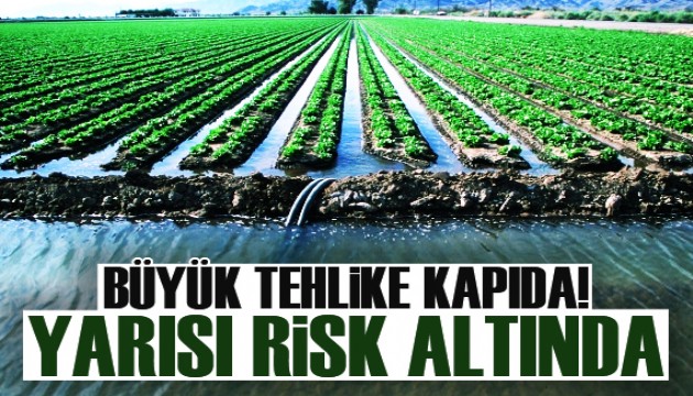 Tarımsal üretimin yarısı risk altında!