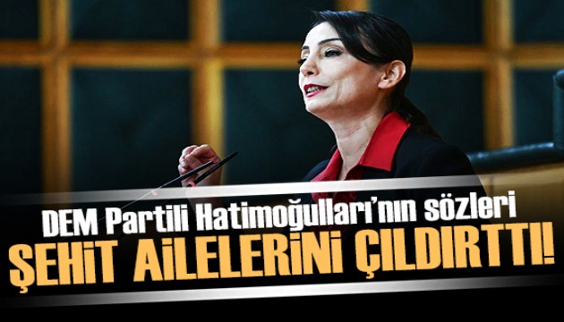 Şehit ve gazi ailelerinden DEM Partili Hatimoğulları'na tepki