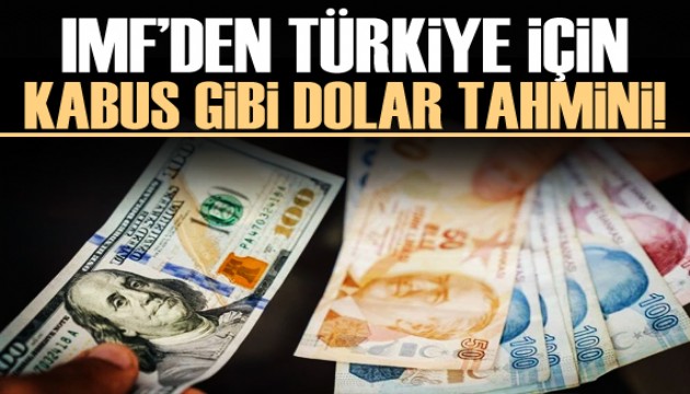 IMF'nin dolar kuru tahmini! Yıllara göre fiyat verildi