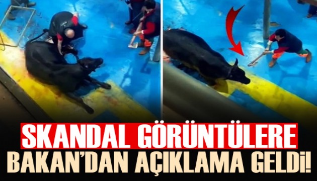 Skandal görüntüler için Bakan Yumaklı'dan açıklama!