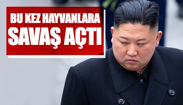 Kim Jong-un hayvanlara savaş açtı