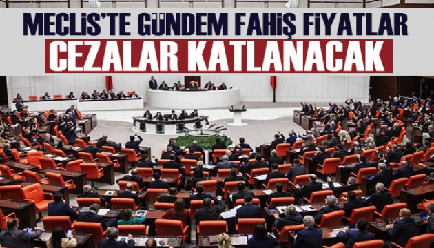 Meclis'in gündemi: Fahiş fiyatlar