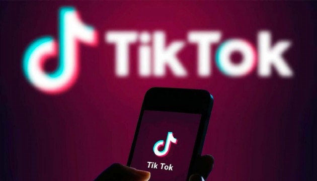 TikTok'a bir yasak da Hollanda'dan
