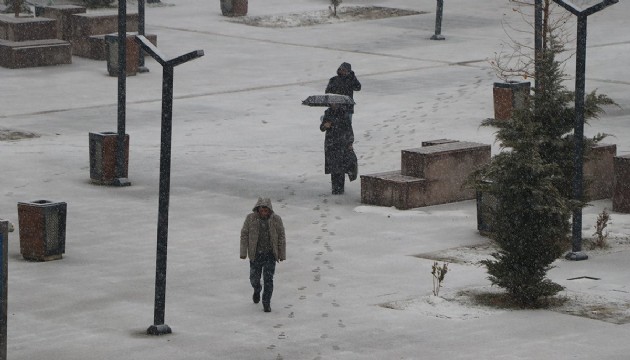 Van'da kar ve sis: 141 yerleşim yerine ulaşım yok