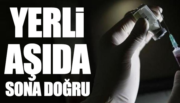 Yerli aşıda sona doğru