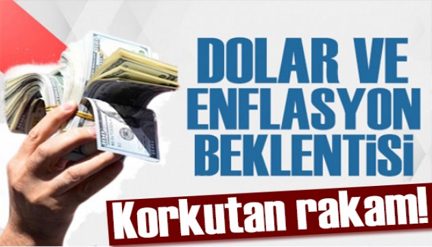 Merkez Bankası yıl sonu dolar ve enflasyon tahminini açıkladı! Tahminler yükseldi