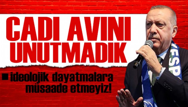 Erdoğan 'asla unutamayız' diyerek tepki gösterdi: Cadı avını dün gibi hatırlıyoruz