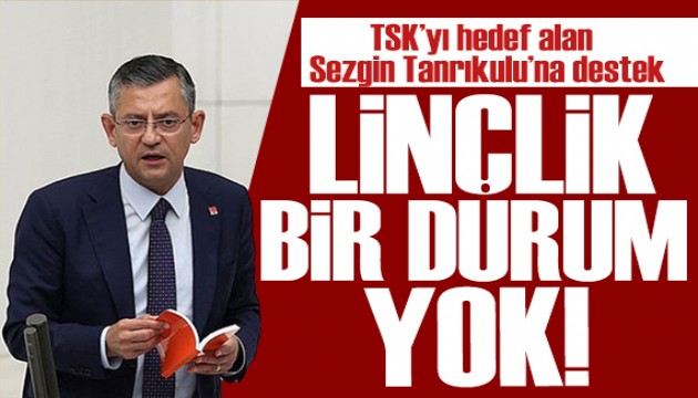 Özgür Özel Sezgin Tanrıkulu'na sahip çıktı: Linç edecek bir şey görmüyorum