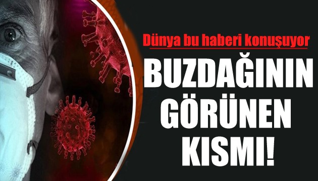 Çin duyurdu: Yarasa hakkında korkutan gelişme