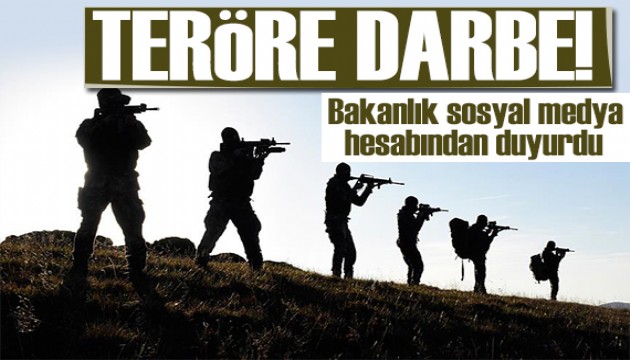 Bakanlık sosyal medya hesabından duyurdu: Teröre bir darbe daha!