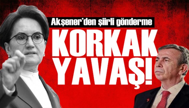 Meral Akşener'den dikkat çeken şiir: Korkak yavaş!