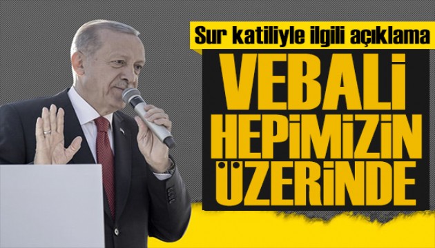 Erdoğan'dan 'Sur katili' açıklaması: Vebali hepimizin üzerinde!