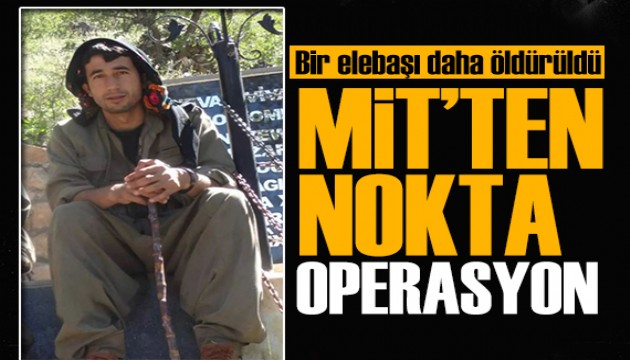 MİT'ten nokta operasyon! Halil Tekin Kamışlı'da etkisiz hale getirildi