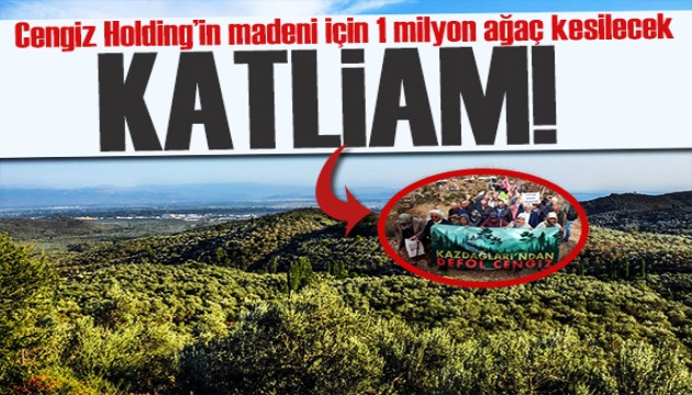 Kazdağları'nda 1 milyon ağaç kesilecek! Çevreciler grevde: Üstü altından değerlidir