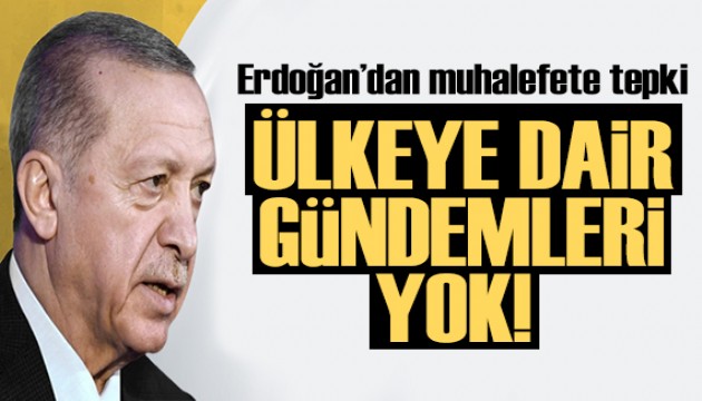 Erdoğan'dan muhalefete tepki: Ülkeye dair gündemleri yok