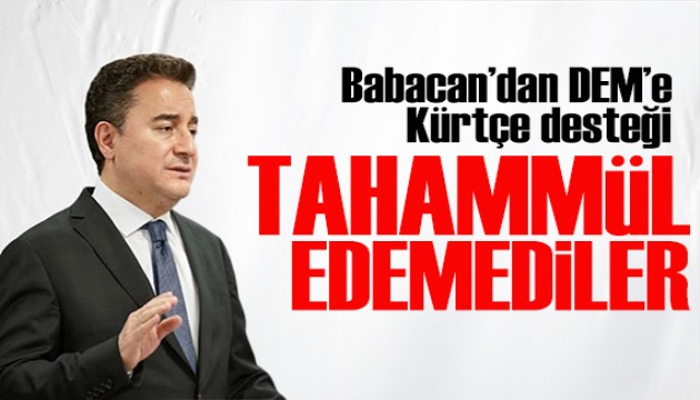 Babacan'dan DEM'e 'Kürtçe' desteği: İki cümleye tahammül edemediler