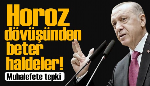 Erdoğan'dan muhalefete tepki: Horoz dövüşünün bile adabı var