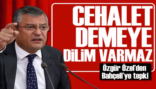 Özgür Özel'den Bahçeli'ye tepki: Cehalet demeye dilim varmaz!