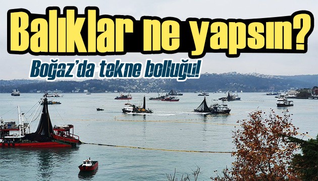 Boğaz'da tekne bolluğu! Balıklar ne yapsın?