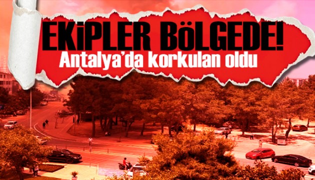 Yaz gelir gelmez yangınlar başladı! Antalya'da korkutan yangın