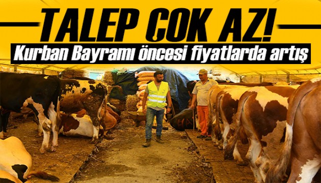 Kurban Bayramı öncesi fiyatlarda artış: Talep çok az!