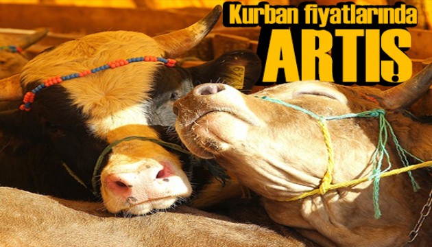 Kurban Bayramı öncesi fiyatlarda artış: İşte 2024 fiyat listesi