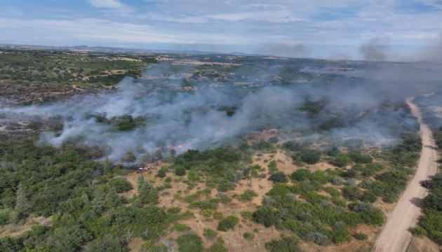 Sultangazi kent ormanında yangın çıktı