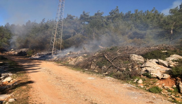 Muğla'daki orman yangını kontrol altına alındı