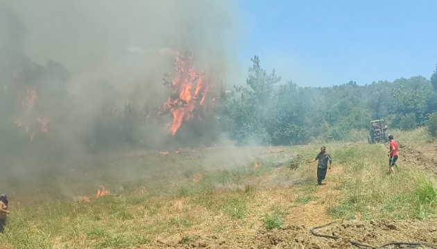 Adana'da orman yangını: Ekipler bölgede