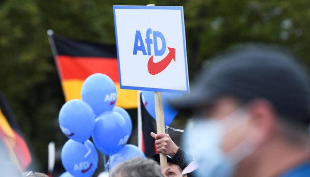 Almanya'da AfD partisinin, Federal Mecliste 100'den fazla aşırı sağcıyı çalıştırdığı iddia edildi