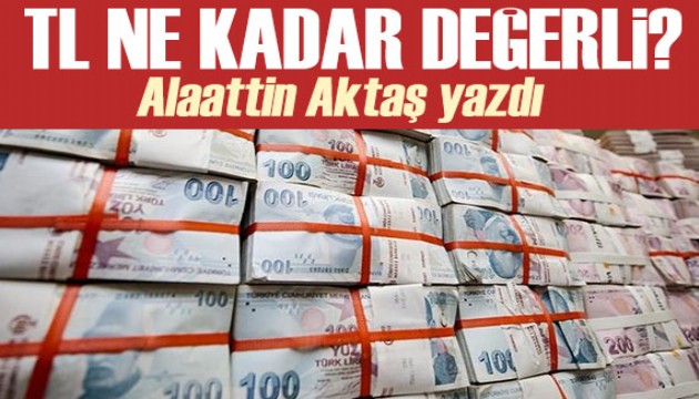 Alaattin Aktaş yazdı: TL ne kadar değerli?