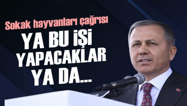 Bakan Yerlikaya'dan belediyelere sokak hayvanları çağrısı: Ya bu işi yapacaklar ya da...