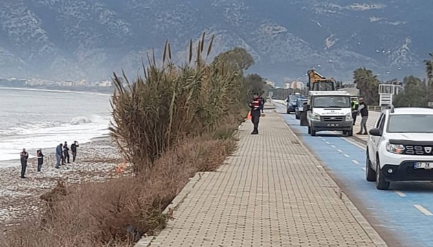 Sahil kenarında gömülü insan iskeleti bulundu