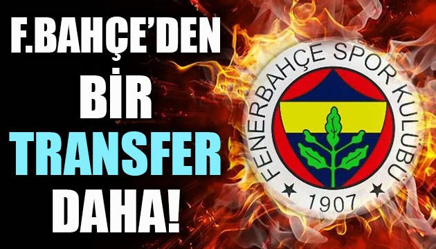 Fenerbahçe'den bir transfer daha!