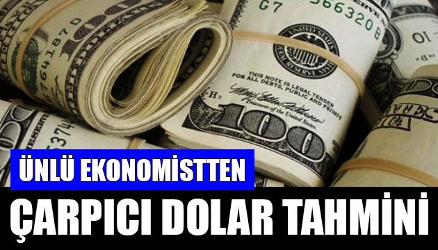 Ünlü ekonomistten çarpıcı dolar tahmini