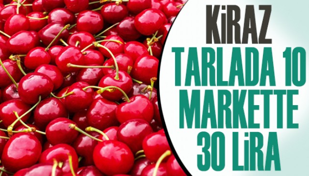 Kiraz tarlada 10, markette 30 lira!