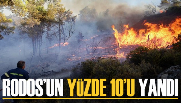 Rodos'un yüzde 10'u yandı