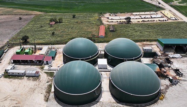 Hayvansal atıklar elektriğe dönüşüyor